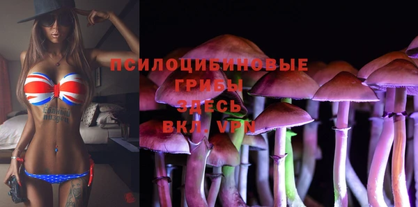 герыч Бородино