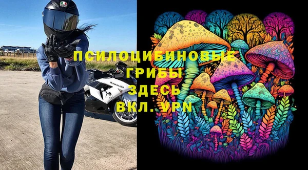герыч Бородино