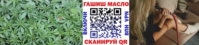 Дистиллят ТГК THC oil  ссылка на мегу зеркало  Шатура  купить наркоту 
