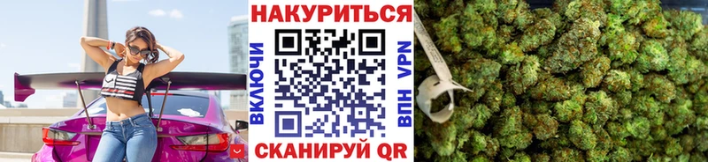 продажа наркотиков  Шатура  МАРИХУАНА сатива 